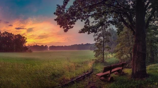 Sky, Bench And Trees Wallpaper