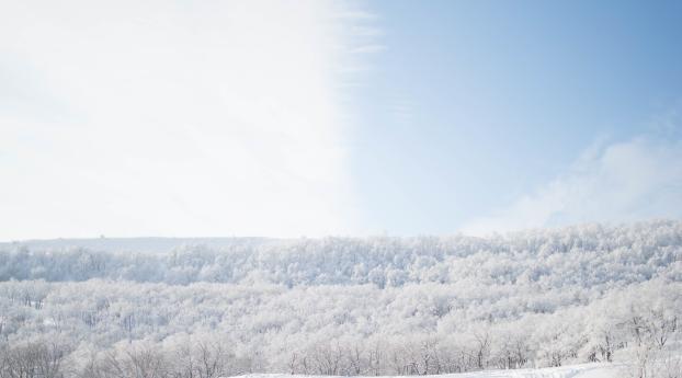 snow, trees, sky Wallpaper 2048x2048 Resolution