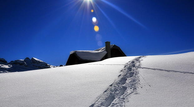 snow, winter, light Wallpaper 360x640 Resolution