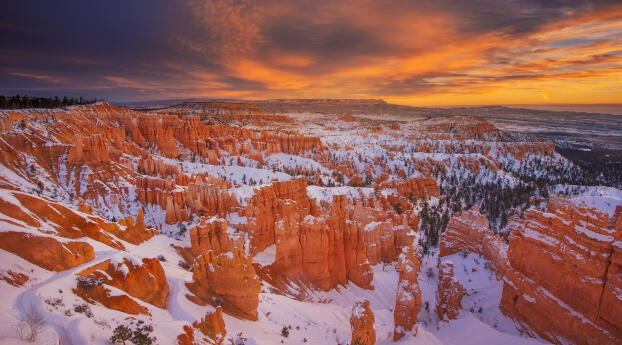 Snowy Bryce Canyon National Park HD Utah Wallpaper 1080x2460 Resolution