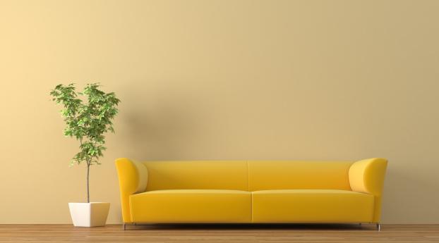 sofa, tub, plant Wallpaper 1600x900 Resolution