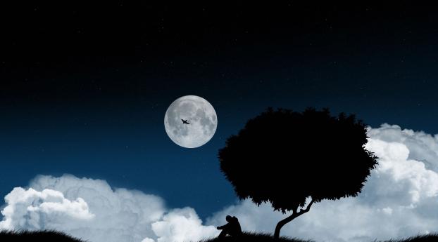 solitude, tree, night Wallpaper 1242x2688 Resolution
