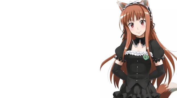 spice and wolf, girl, anime Wallpaper 320x240 Resolution