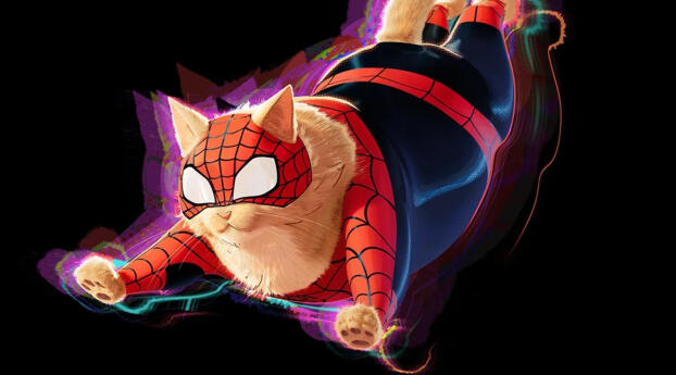 Spider Cat Across the Spider-Verse Wallpaper
