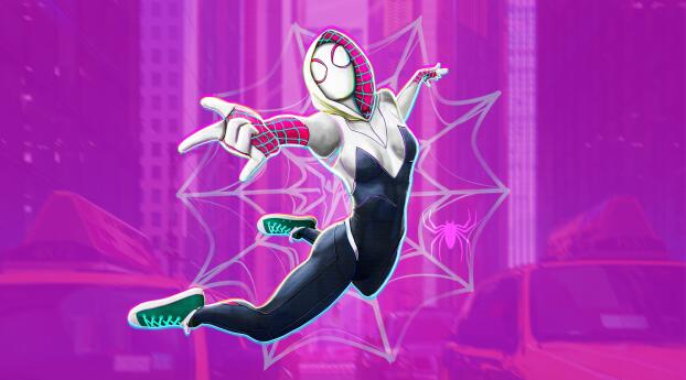 Spider-Gwen Art  The Spider-Verse Wallpaper 480x484 Resolution