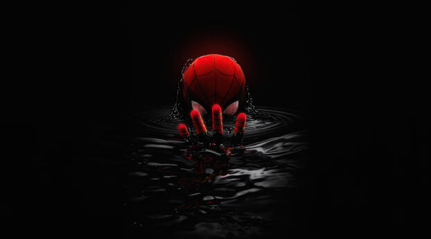Spider Man 4 Digital Wallpaper 400x240 Resolution