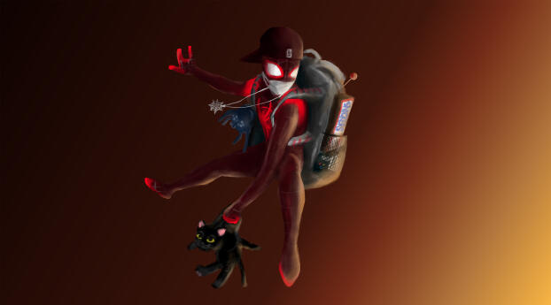 Spider-Man 4k with Cat Wallpaper 1336x768 Resolution