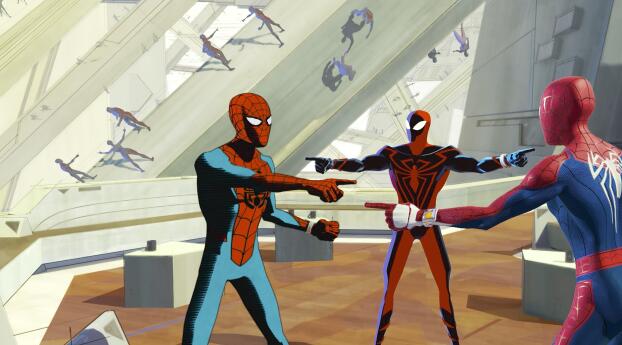 Spider-Man: Across The Spider-Verse Meme Wallpaper 1440x1440 Resolution