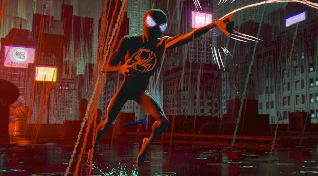 Spider-Man: Across The Spider-Verse Web Wallpaper 1080x2400 Resolution