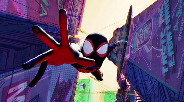 Spider-Man Caching HD Spider-Verse Movie Wallpaper 1440x2992 Resolution