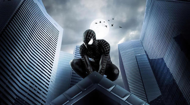 Spider Man Dark Knight Wallpaper 1676x1085 Resolution