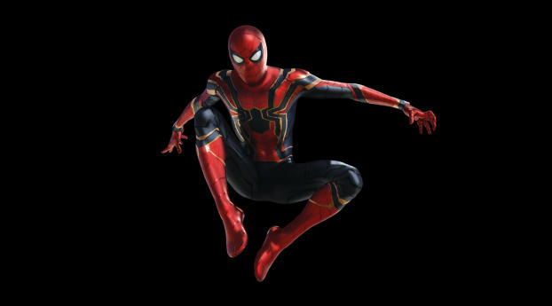 Spider Man in Avengers Infinity War Wallpaper 1080x2246 Resolution