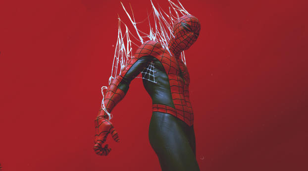 Spider-Man in the Web Digital Art Wallpaper 1125x2432 Resolution