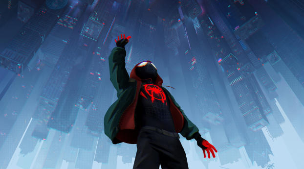 Spider-Man Into The Spider-Verse 2018 Official Poster Wallpaper 1080x224 Resolution