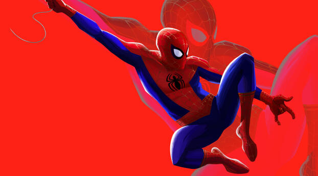 Spider-Man Into The Spider-Verse HD Wallpaper 1440x3160 Resolution