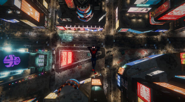 Spider-man Miles Morales Chill Falling Gaming Wallpaper 1440x2992 Resolution