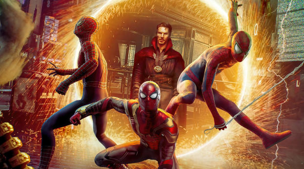 Spider-Man Multiverse Home Wallpaper 320x240 Resolution