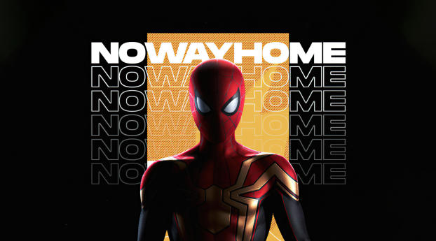 Spider-Man No Way Home HD Fan Art Wallpaper 1336x768 Resolution