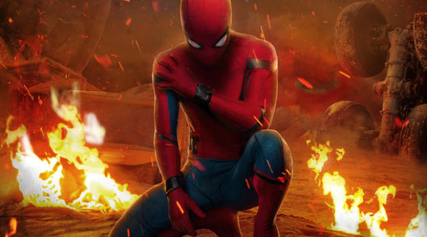 Spiderman Homecoming Chinese Poster Wallpaper 360x330 Resolution