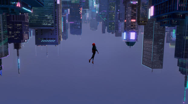 SpiderMan Into The Spider Verse 2018 Wallpaper 1080x2316 Resolution