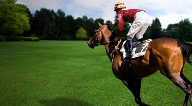 sports, equestrian, horse Wallpaper 1600x900 Resolution