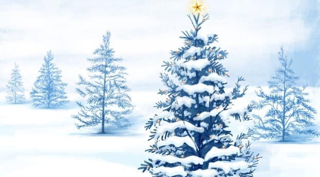 spruce, star, snow Wallpaper