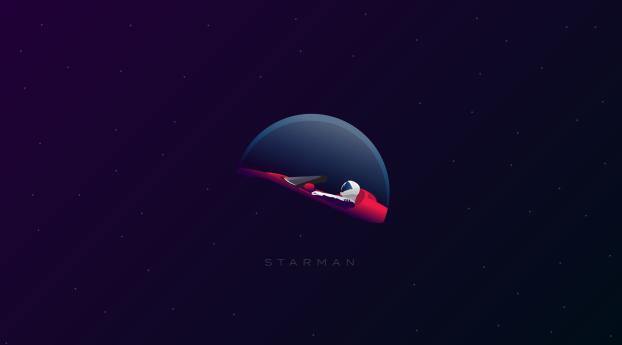 Starman Minimalistic Vector Wallpaper 2048x273 Resolution