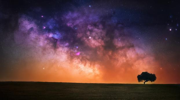 Starry Sky In Open Field Wallpaper 1440x3040 Resolution