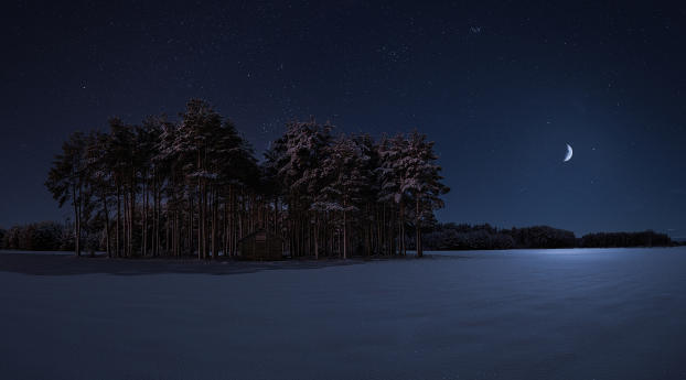 Starry Winter Night Wallpaper 1440x2960 Resolution