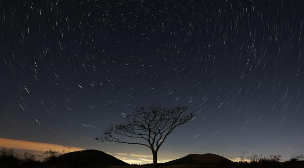 Stars And Trees In Starry Night Wallpaper 540x960 Resolution