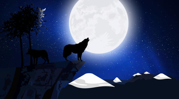 Stars Silhouette Wolf And Moon Art Wallpaper 1080x2280 Resolution
