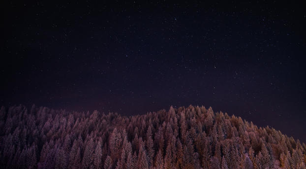 Stars Trees Night Dark Sky Wallpaper 1360x768 Resolution