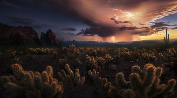 Storm at Cactus Desert Wallpaper 1600x2560 Resolution
