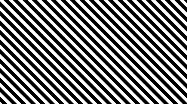 Stripes Monochrome Pattern Wallpaper