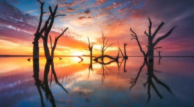 Sunrise Reflection HD Australia Wallpaper 640x960 Resolution