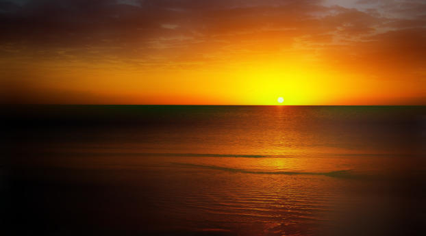 Sunset Horizon Wallpaper 1080x2280 Resolution