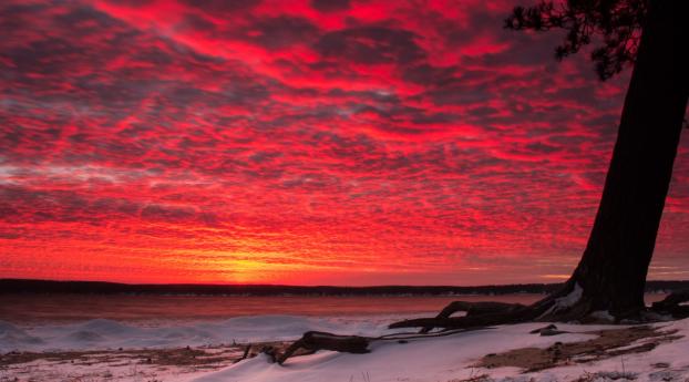 sunset, snow, tree Wallpaper 2560x1600 Resolution