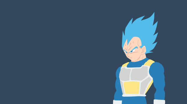 240x320 Super Saiyan Blue Vegeta Android Mobile, Nokia 230, Nokia 215,  Samsung Xcover 550, LG G350 Wallpaper, HD Minimalist 4K Wallpapers, Images,  Photos and Background - Wallpapers Den