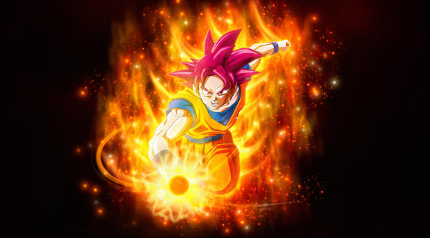 Super Saiyan God Goku Dragon Ball Wallpaper 1080x2280 Resolution