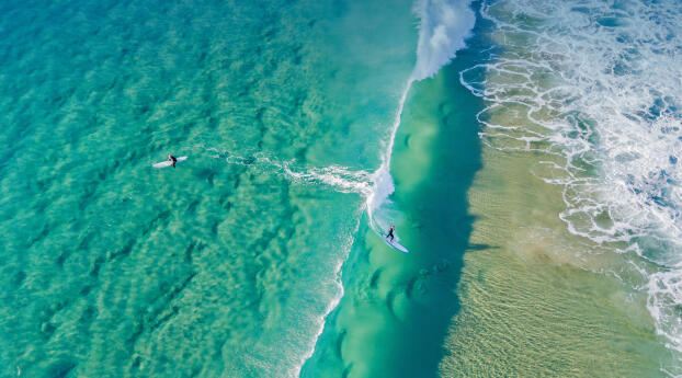 Surfers catching waves at Palm Beach Australia Wallpaper 1080x2300 Resolution