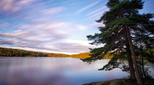 sweden, lakes, trees Wallpaper