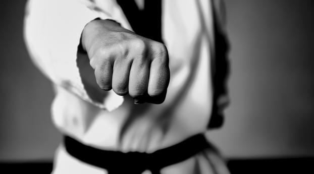 taekwondo, fight, fighter Wallpaper 1024x768 Resolution