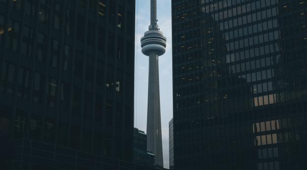 television tower, skyscrapers, buildings Wallpaper 1440x2560 Resolution