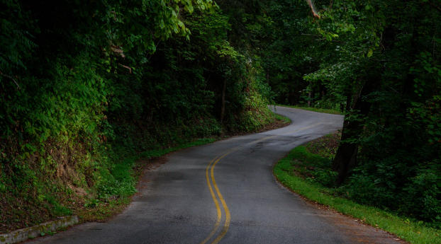 Tennessee Road Wallpaper 1080x2246 Resolution