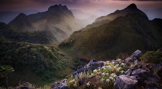 thailand, mountains, vegetation Wallpaper 2560x1024 Resolution
