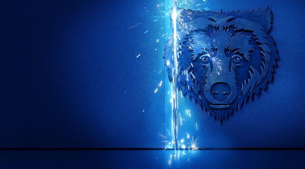 The Bear Season 2 Wallpaper 1366x1600 Resolution