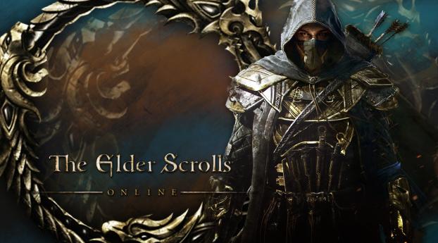 the elder scrolls, archer, art Wallpaper 360x640 Resolution