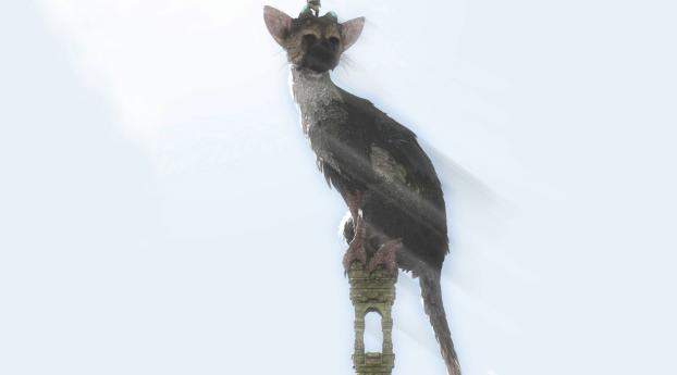the last guardian, sony computer entertainment, art Wallpaper