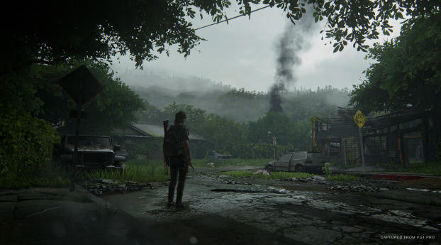 The Last of Us Part II Wallpaper 360x480 Resolution