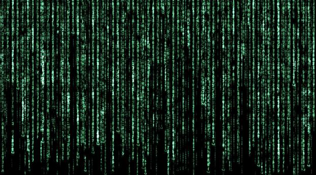 The Matrix 4K Wallpaper 1024x768 Resolution